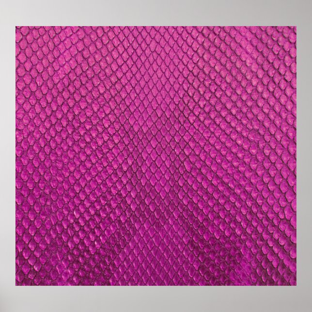 Pink Python: Snake Skin Texture. Poster (Front)