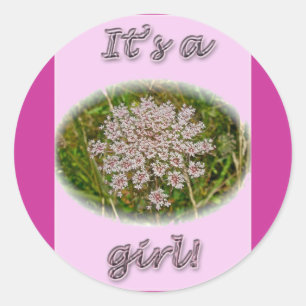 Pink Queen Anne's Lace Its a Girl New Baby Sticker