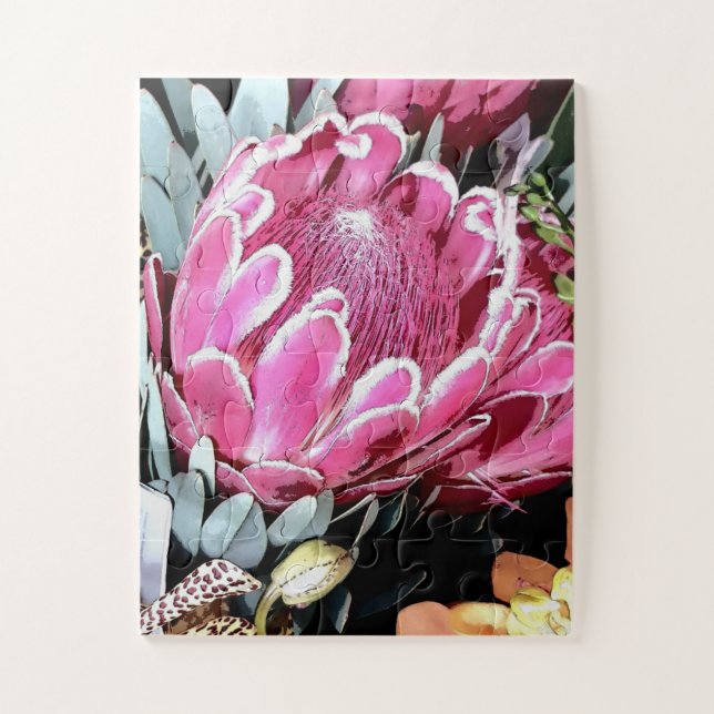 Pink Queen Protea Australia native floral no.2 Jigsaw Puzzle (Vertical)