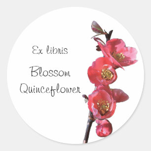 Pink quince flowers bookplate sticker