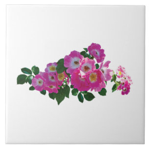 Pink Rambler Rose Ceramic Tile