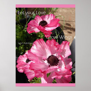 Pink Rannunculus Flower Spring Garden Poster