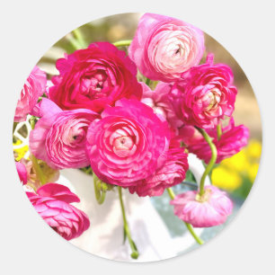Pink Ranunculus Classic Round Stickers 