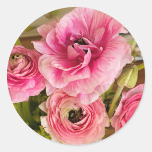 Pink Ranunculus Greeting Card Classic Round Sticker