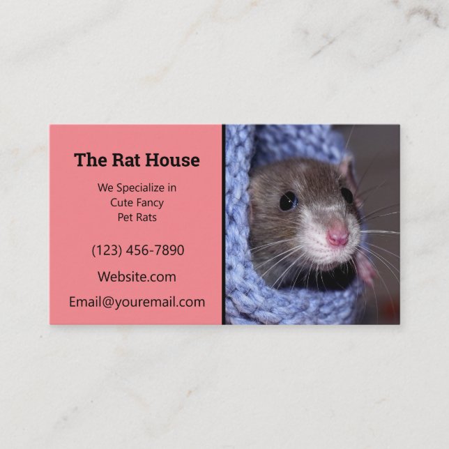 Pink Rat Breeder Rattery Business Card (Front)