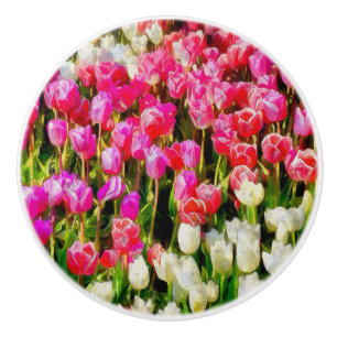 Pink Red and White Tulips from Mt Vernon Ceramic Knob