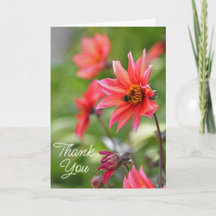 Pink & Red Dahlia Garden Flowers With Bee Thank You Card