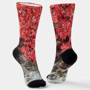 Pink red grey ivy leaves autumn abstract photo socks