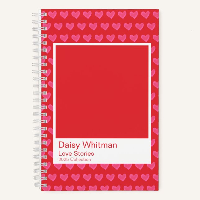 Pink & Red Illustrated Hearts Spiral Notebook (Front)