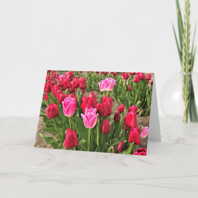 Pink & Red Tulips Card (Front)