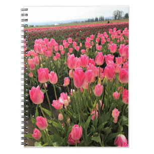 Pink & Red Tulips in a Field, Oregon Notebook
