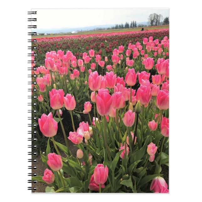 Pink & Red Tulips in a Field, Oregon Notebook (Front)
