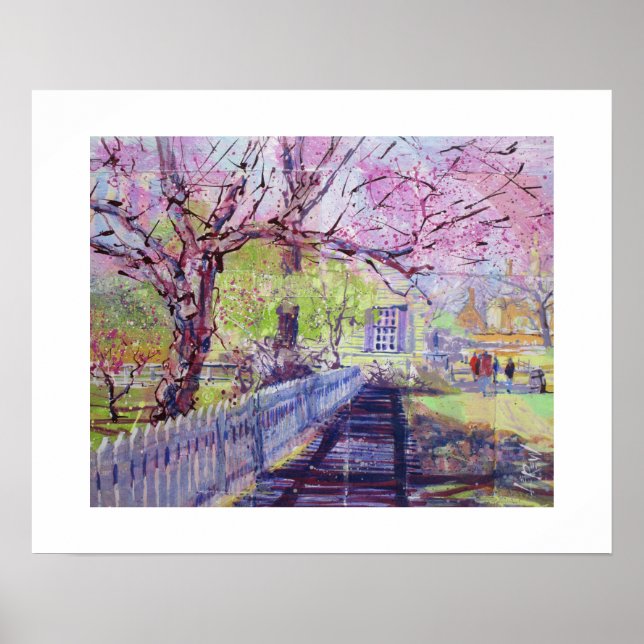 Pink Redbud Blossoms At Williamsburg Virginia Poster (Front)