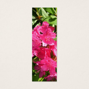 pink rhododendron and blue iris