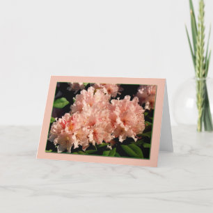 Pink Rhododendron Blank Card