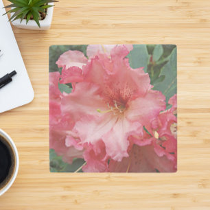 Pink Rhododendron Bloom Floral Stone Coaster