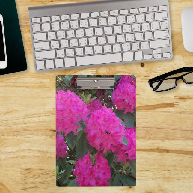Pink Rhododendron Blooms Floral Clipboard (In Situ)