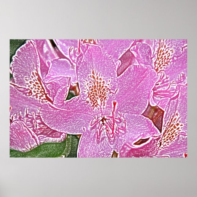 Pink rhododendron blossom poster (Front)