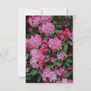 Pink Rhododendron Card