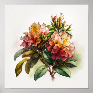 Pink Rhododendron Flowers Art Print Poster