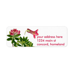 Pink rhododendron illustration return address label
