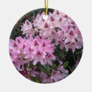 Pink Rhododendron Ornament