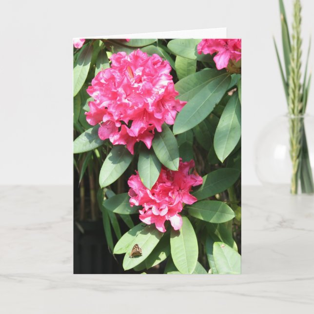 Pink Rhododendron with a small Butterfly Greeting Card (Front)