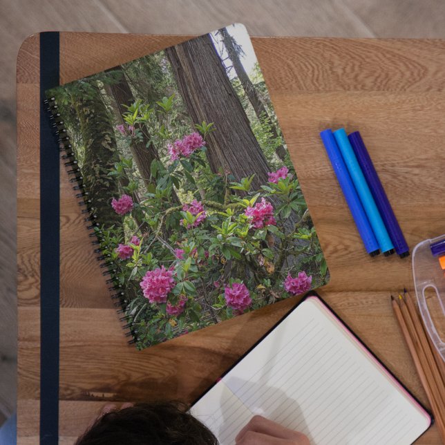 Pink Rhododendrons in a Forest Floral Notebook (In Situ)