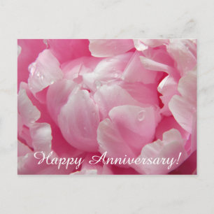 Pink romance blooming peony flower with dew drops postcard