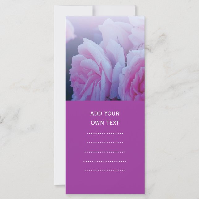 Pink romantic rose flowers (Front)