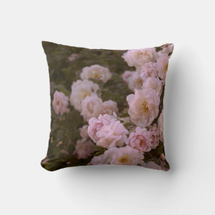 Pink romantic roses cushion