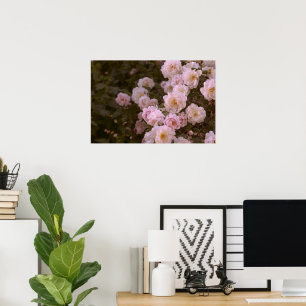 Pink romantic roses poster
