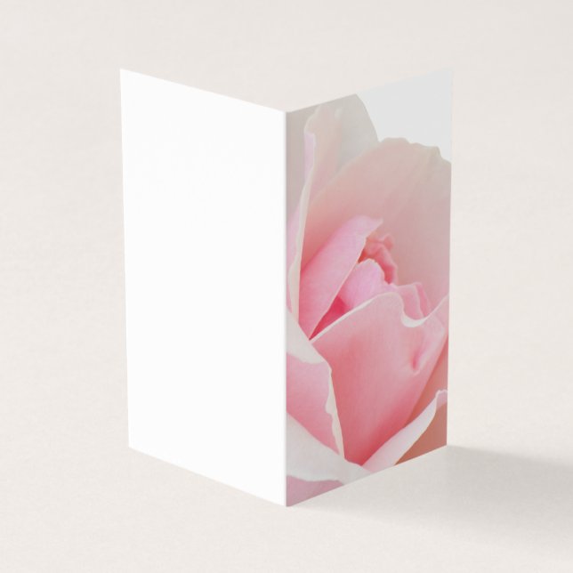 Pink rose (Outside)