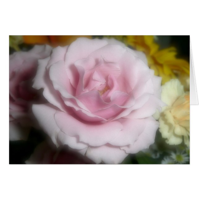 Pink Rose (Front Horizontal)