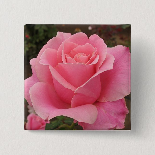 Pink Rose 15 Cm Square Badge (Front)