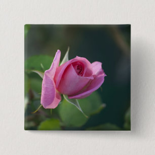 Pink Rose 15 Cm Square Badge