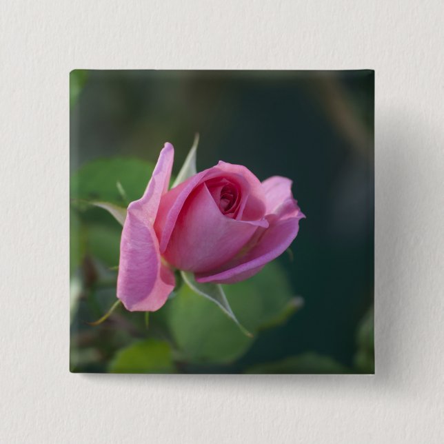 Pink Rose 15 Cm Square Badge (Front)