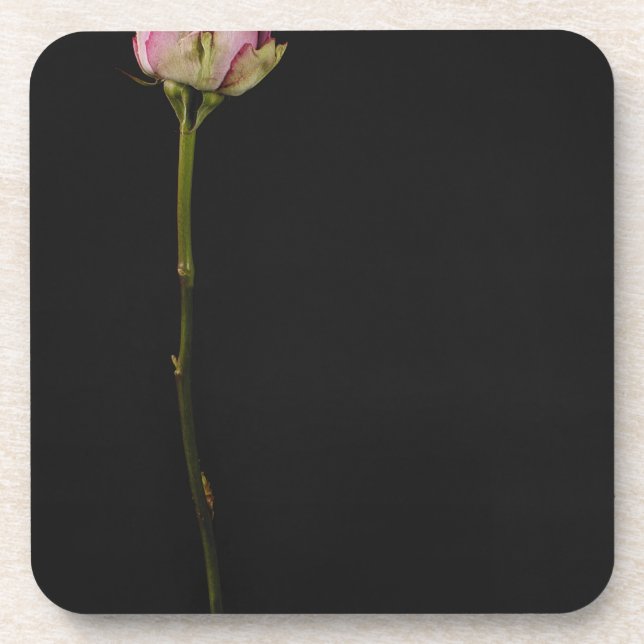 Pink rose 3 coaster (Front)