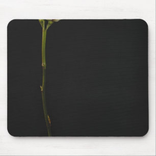Pink rose 3 mouse pad