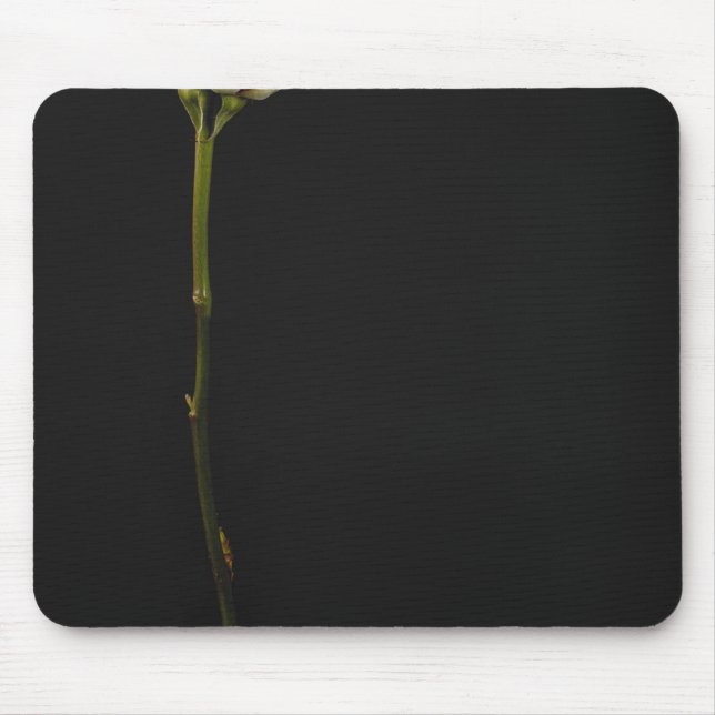 Pink rose 3 mouse pad (Front)