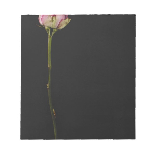 Pink rose 3 notepad (Front)