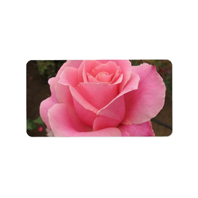 Pink Rose Address Label (Front)