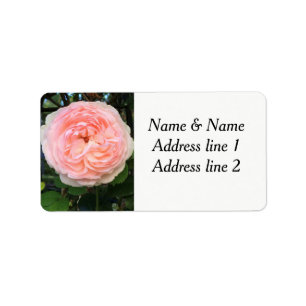 Pink rose address labels