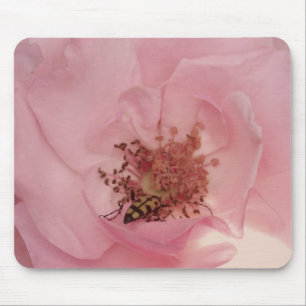 Pink Rose and a bug Photography Mousepad