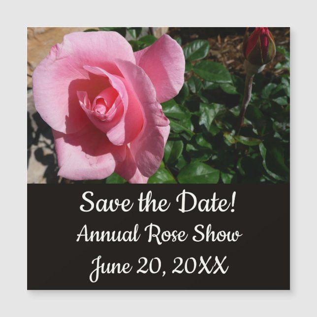 Pink Rose and Bud Garden Floral (Front)