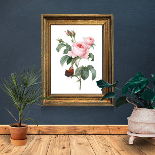 Pink Rose and Butterfly Poster