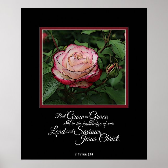 Pink Rose Bible Verse Artwork Wall Art / Poster (Front)