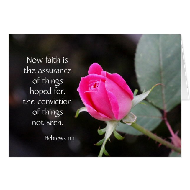 Pink Rose, Bible verse (Hebrews) on faith hope (Front Horizontal)