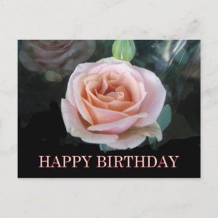 Pink rose birthday greetings postcard