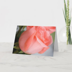Pink Rose Blank Greeting Card